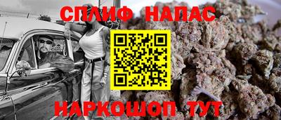 мдпв Бийск