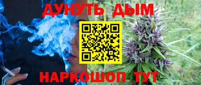 мдпв Бийск