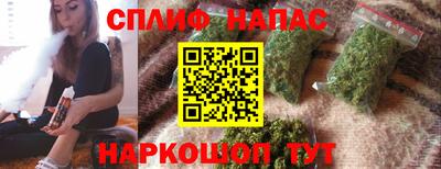 мдпв Бийск