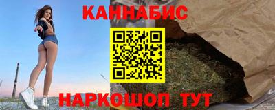 мдпв Бийск