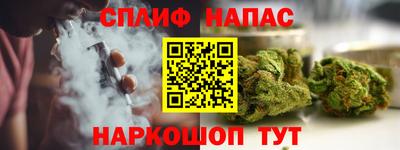 мдпв Бийск