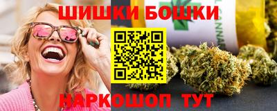 мдпв Бийск