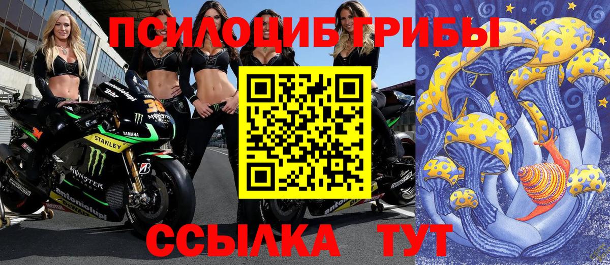 Ковров  Псилоцибиновые грибы мицелий  как найти закладки  Вход с VPN 
