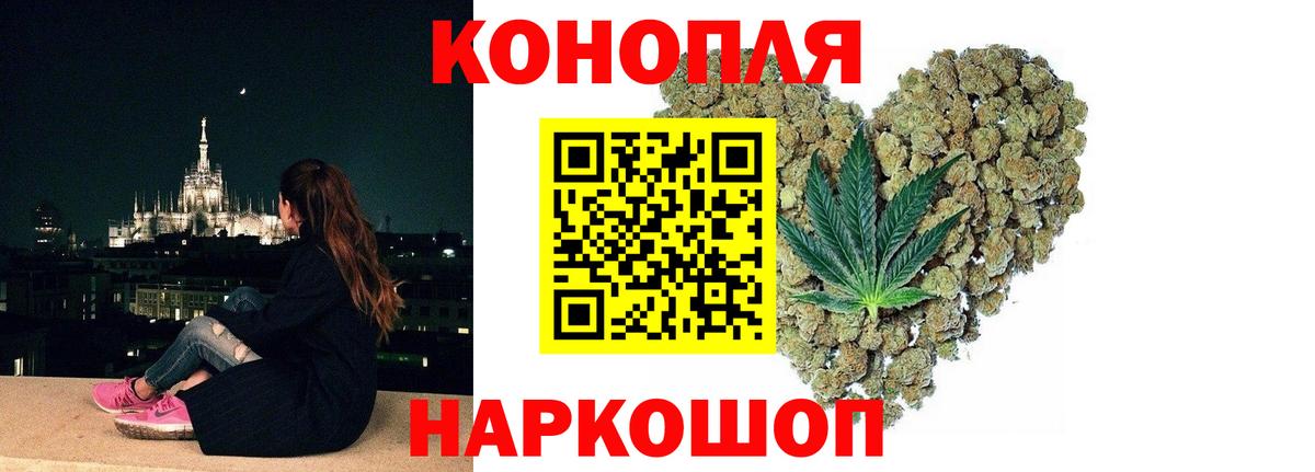 Шишки марихуана сатива Ковров